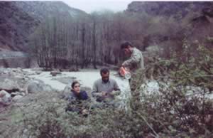 Amol_1360.jpg (297kb)